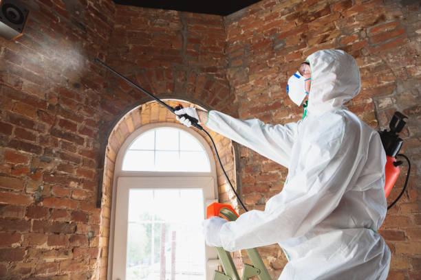 Best Mold Prevention Services  in Fulton, MD